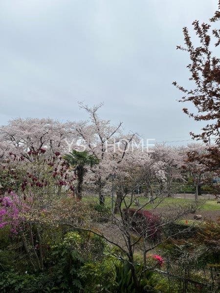 その他20