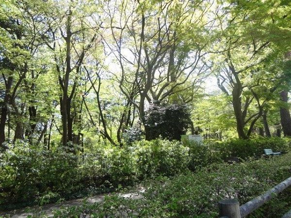 ミハス三鷹の森  周辺画像2