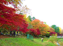 久米田ビル 周辺画像4
