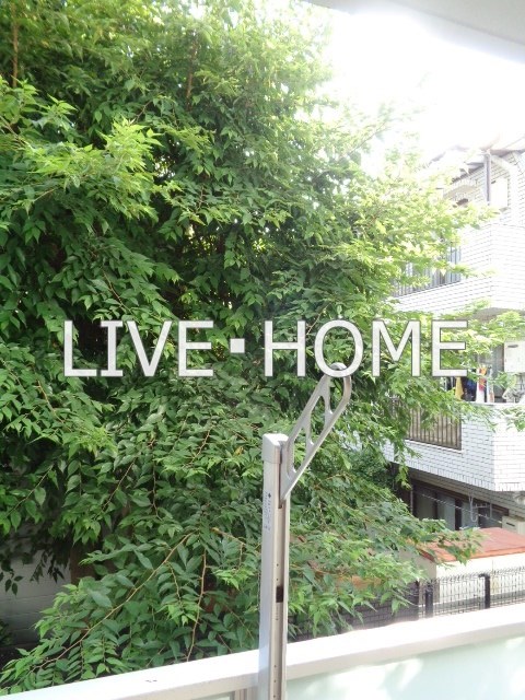 その他12