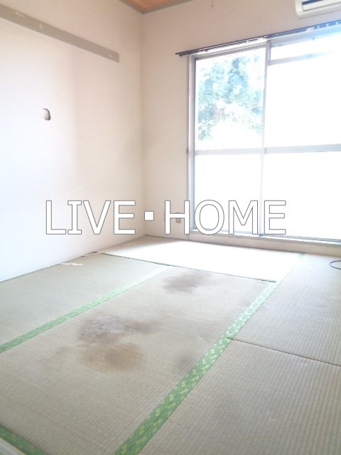 その他24