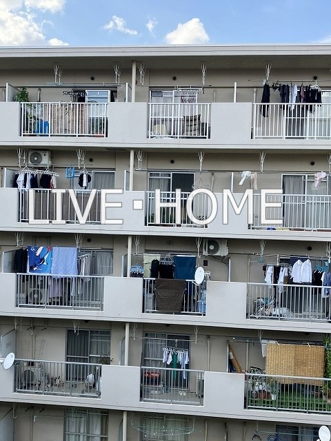 その他6
