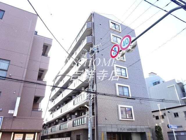 その他11
