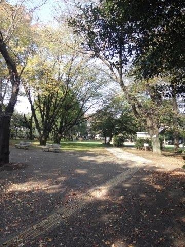 フラッツＥ その他13
