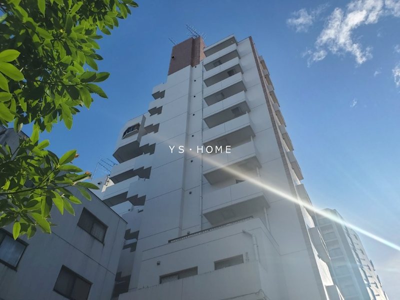 その他11