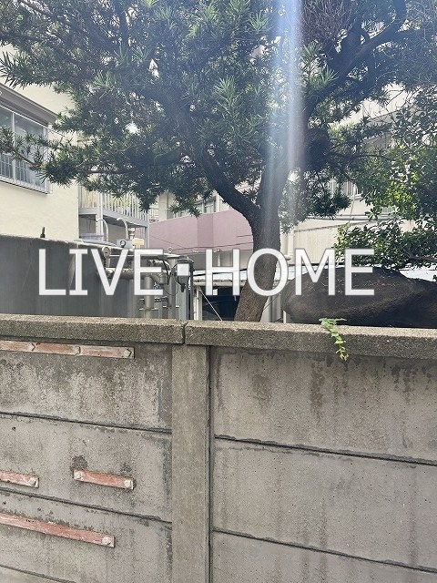 その他6