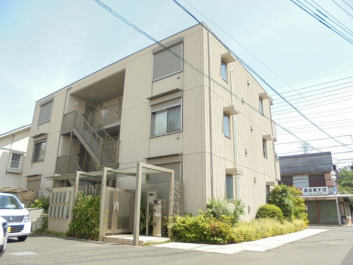 その他11