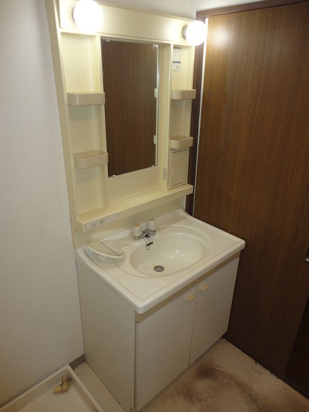 その他1