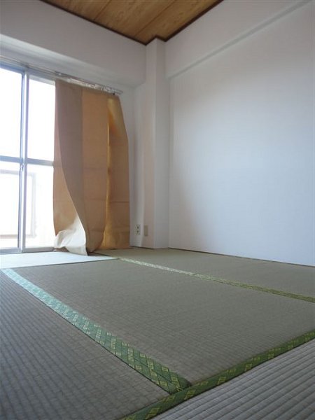 その他6