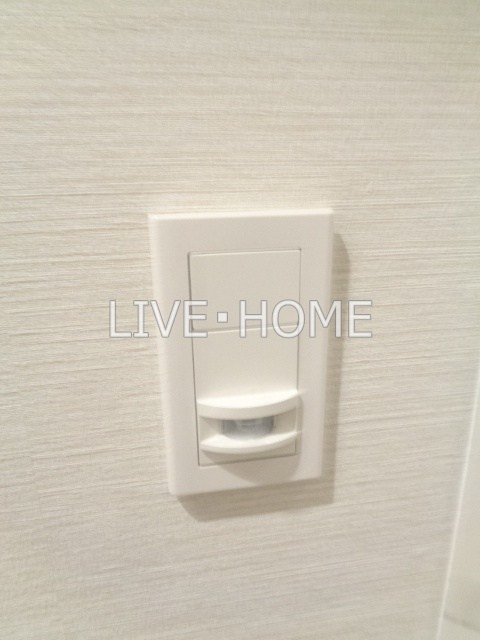 その他29