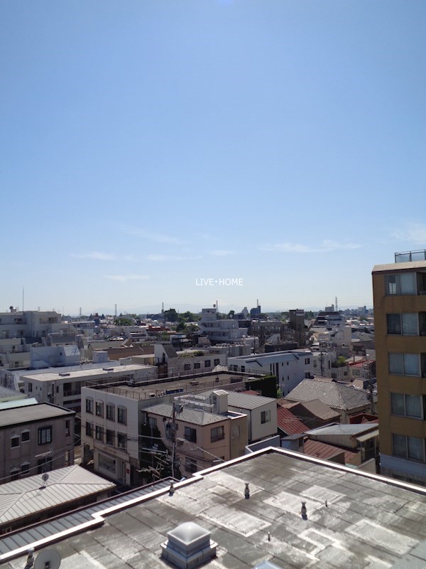 その他11