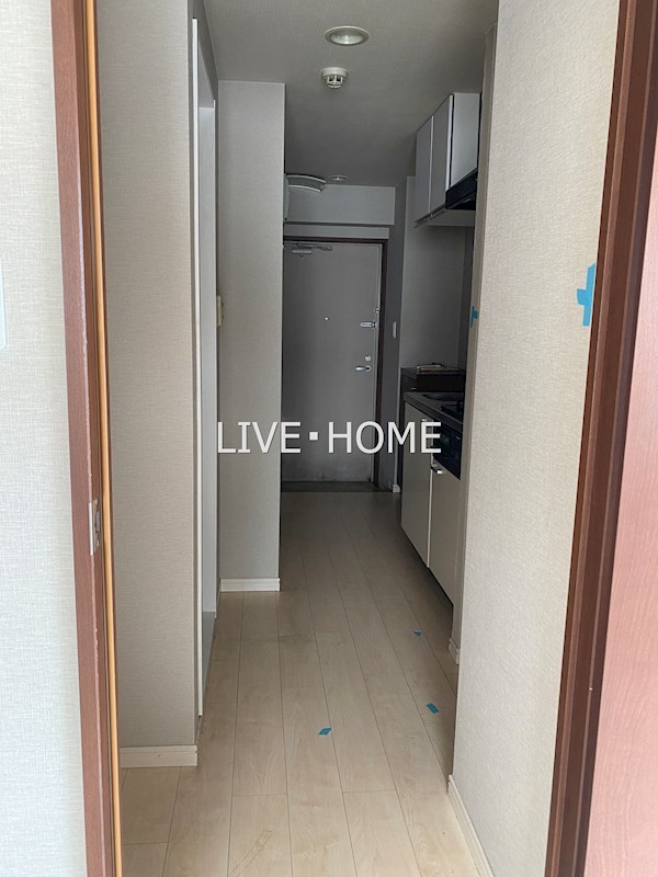 その他17