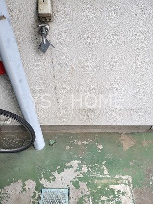 その他11