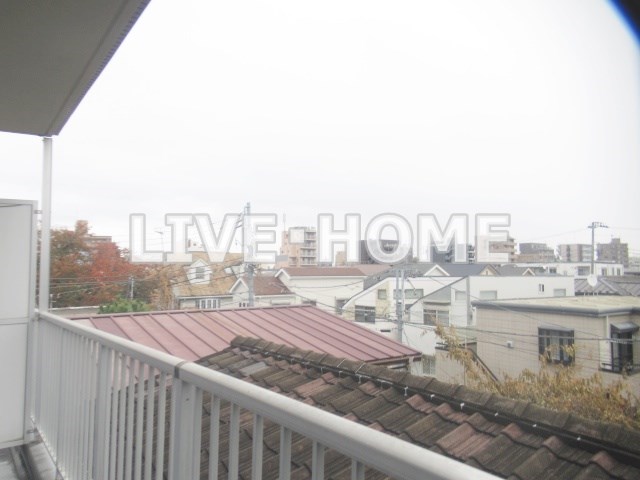 その他29