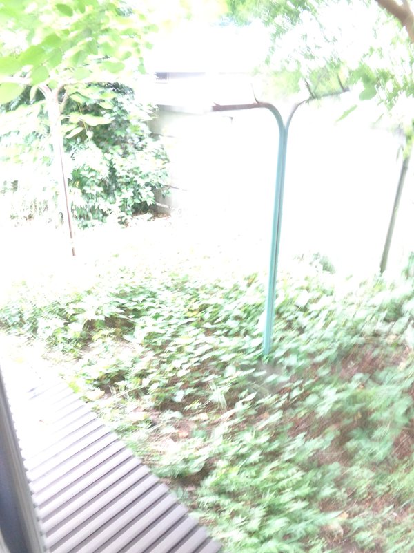 メープル ベランダ