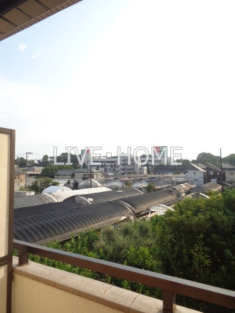 その他12