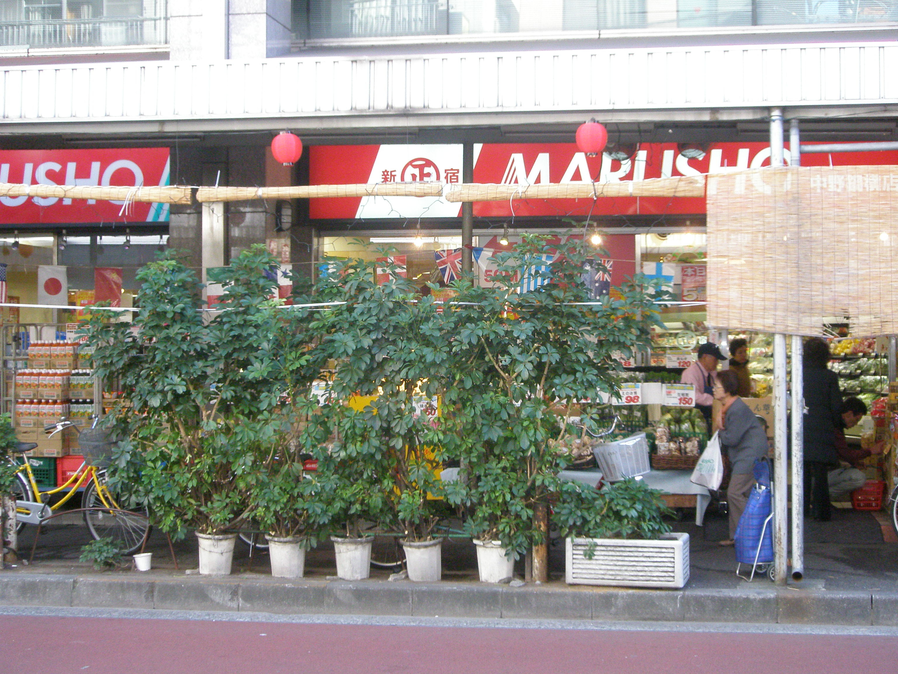 グランシャレー中野新橋 周辺画像2