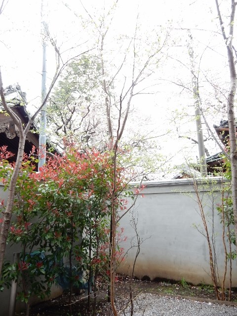 その他10