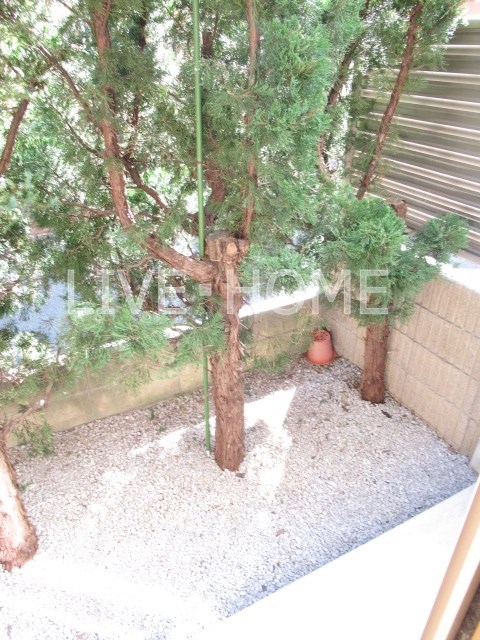 その他11