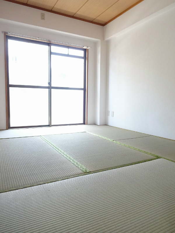 その他7