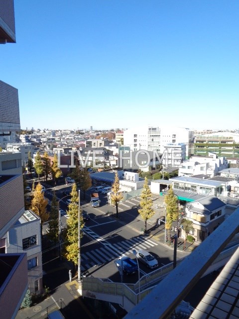 その他11