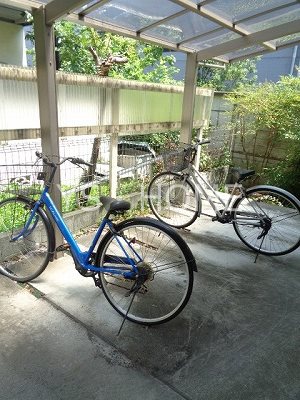 アムールワン その他16
