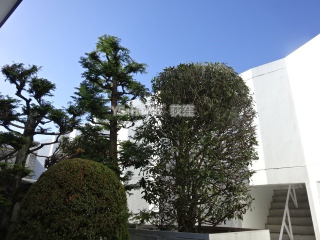 その他11