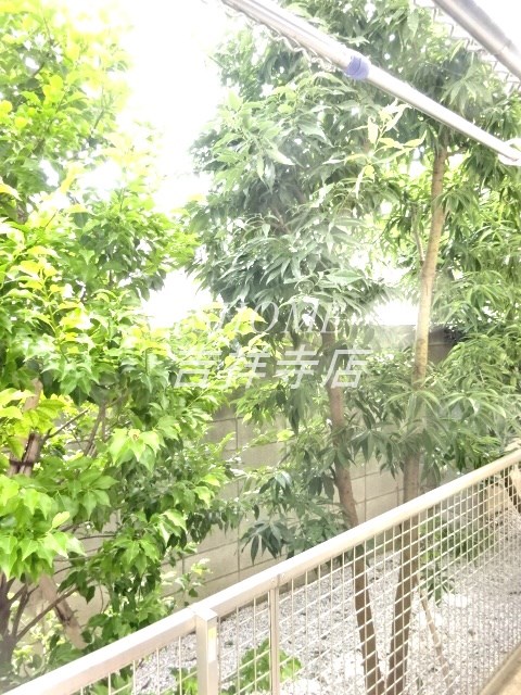 メイプルアベニュー吉祥寺 その他4