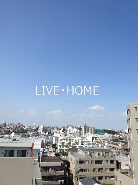 その他11