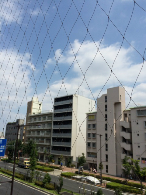 その他7