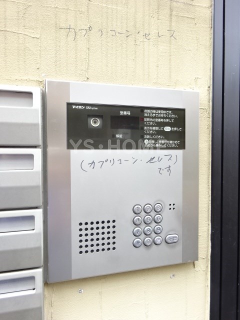 カプリコーンセレス その他6