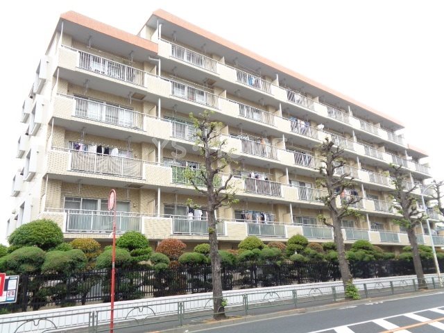 その他11