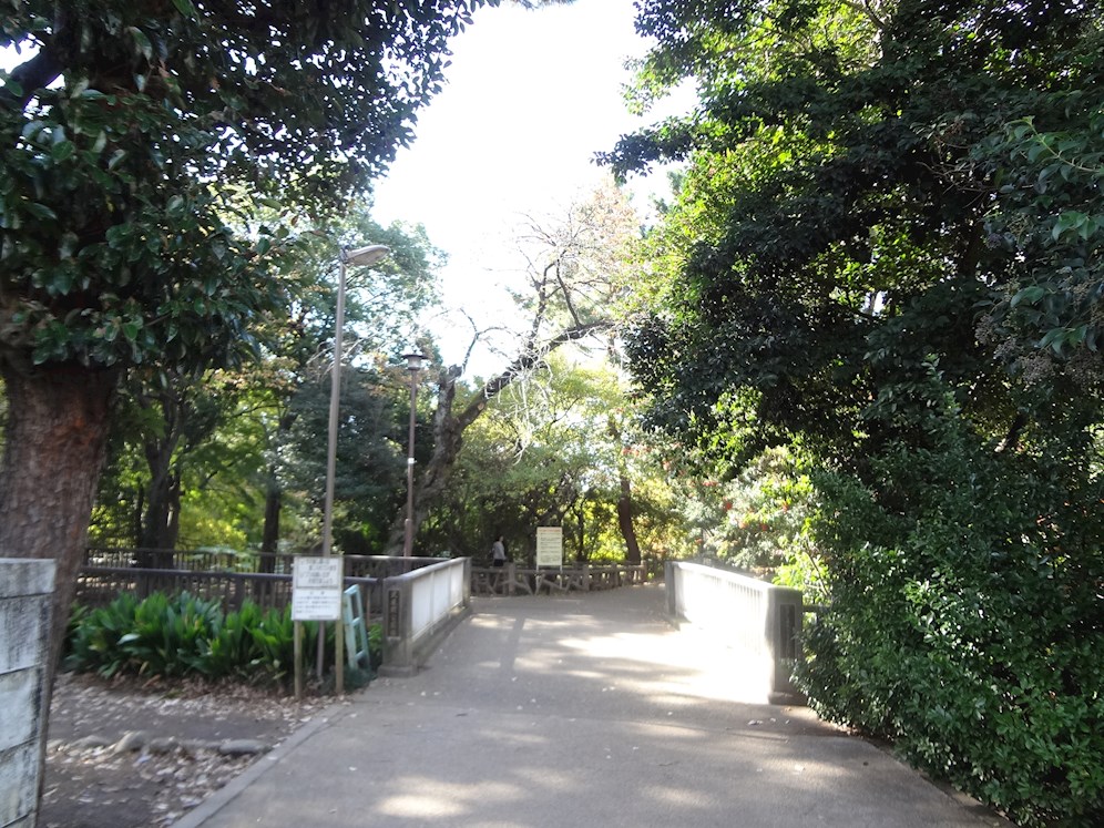 シャトレー武蔵野弐番館     周辺画像10