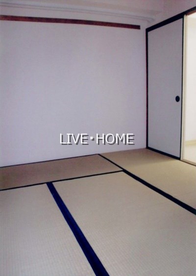 その他29