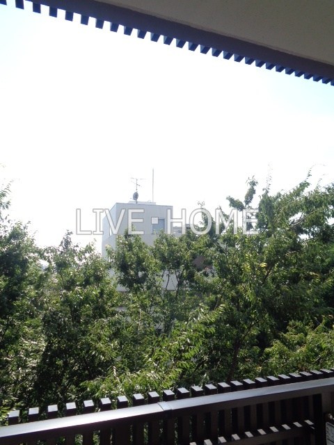 その他24