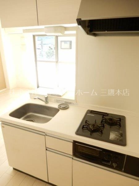 グリーンヴィラ その他9