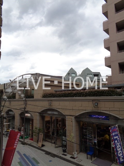 その他13