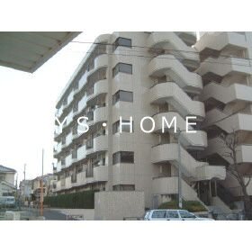 その他11