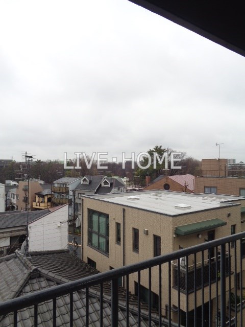 その他11