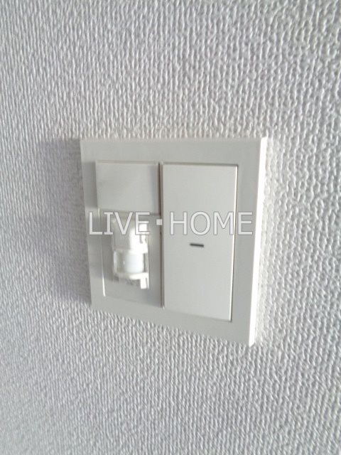 その他11