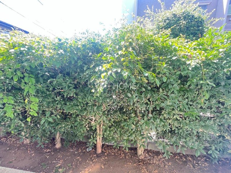 その他10