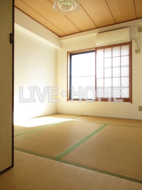 その他29