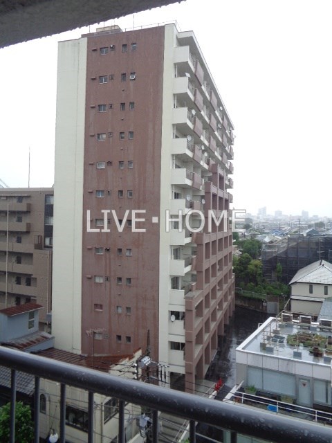 その他11