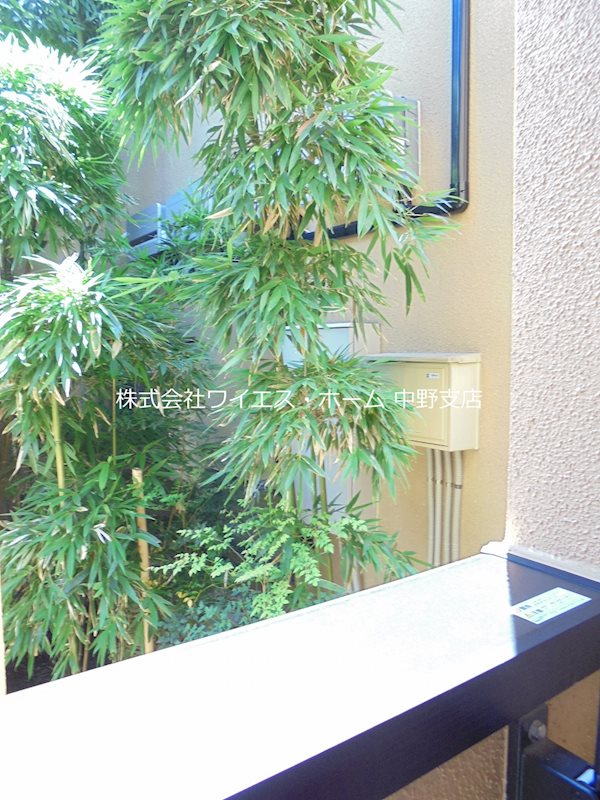 PALM　GROVE（パームグローブ） その他6