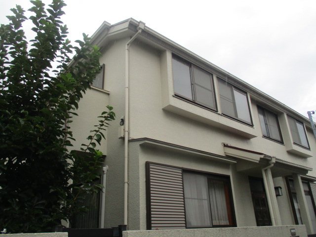 その他11