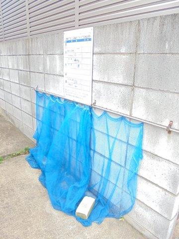 ポーリュシュカポーレ その他3