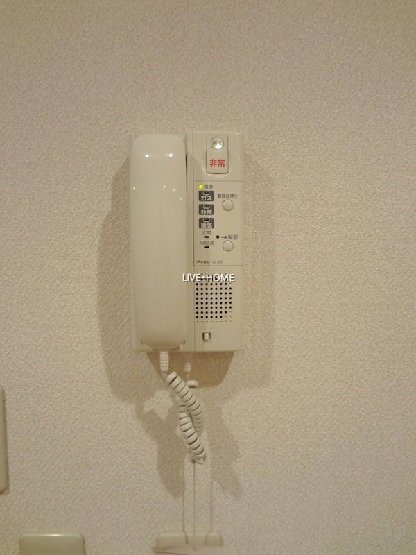 その他29
