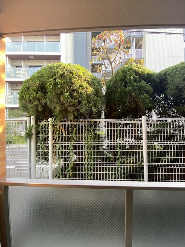 その他17