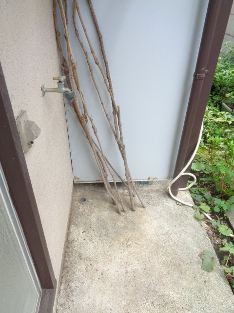 梢風荘 その他2