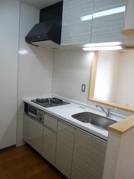 LightGardenⅠ（ライトガーデン） キッチン